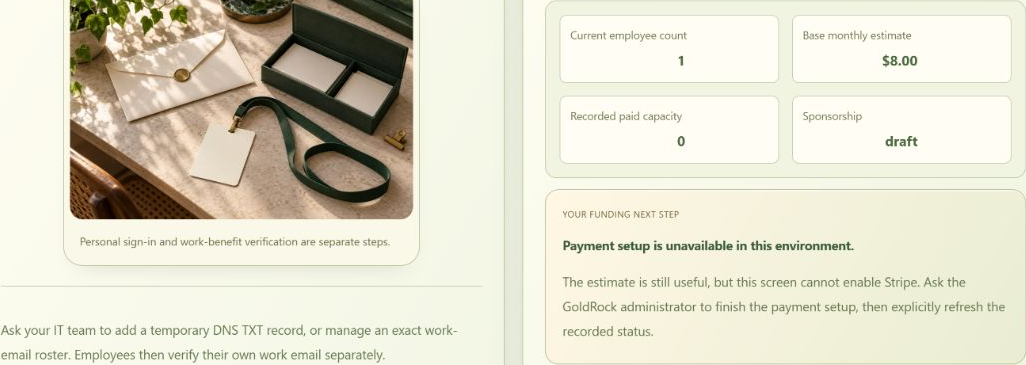 Actual employer setup showing zero paid capacity, draft sponsorship and unavailable payment setup